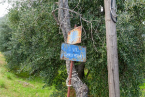 067-2024-09-29 Corfu dag 2 lekker wandelen