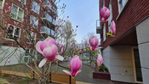 069-2024-03-00 Diverse maart