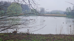 111-2024-03-00 Diverse maart
