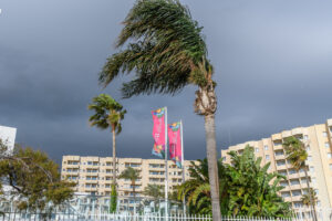 297-2024-12-16 Vaarwel opa, dag 4 Benalmadena