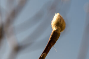 001-2023-01-21 Kijkduin