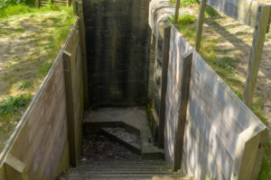 006-2023-04-30 Strand