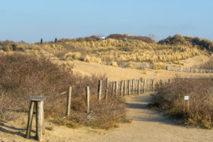 012-2023-01-21 Kijkduin
