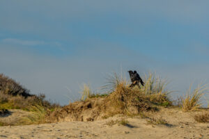 013-2023-01-21 Kijkduin
