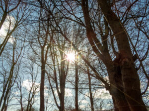 013-2023-03-11 Loosduinen in maart