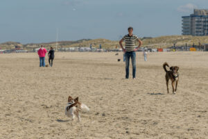 014-2023-04-30 Strand