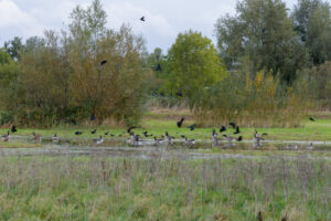 014-2023-10-15 Fit in 50 dagen wandeling