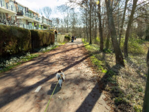 017-2023-03-11 Loosduinen in maart