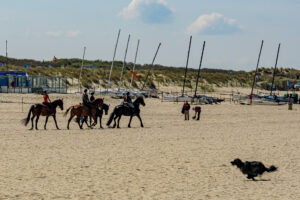 017-2023-04-30 Strand