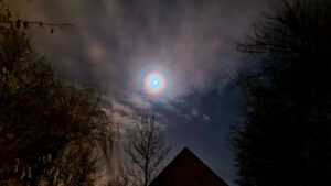 018-2023-01-31 Diverse januari