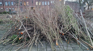 020-2023-01-31 Diverse januari