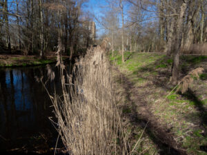 020-2023-03-11 Loosduinen in maart