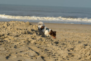 021-2023-01-21 Kijkduin