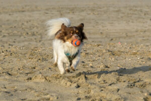 026-2023-01-21 Kijkduin