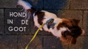 028-2023-01-31 Diverse januari