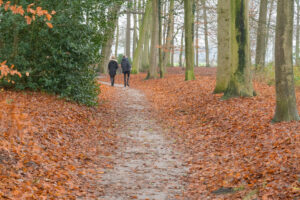 031-2023-01-03 Middelpunt van NL