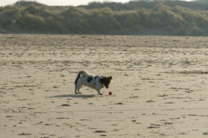 031-2023-01-21 Kijkduin