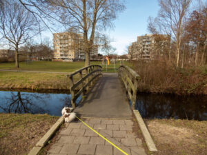 033-2023-03-11 Loosduinen in maart