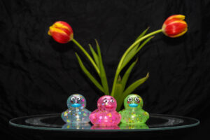 033-2025-01-19 Mini studio
