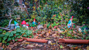 035-2023-11-30 Diverse november