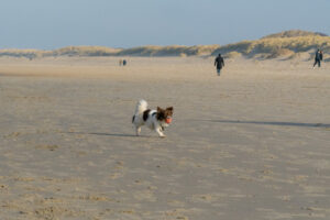 039-2023-01-21 Kijkduin