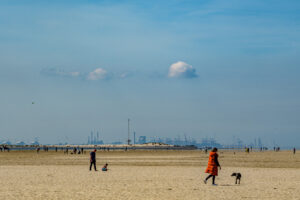 041-2023-04-30 Strand