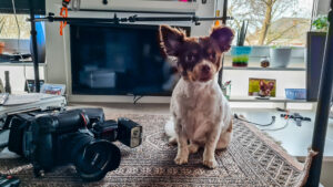 041-2025-01-19 Mini studio