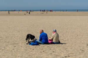 043-2023-04-30 Strand