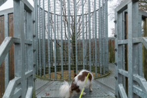 046-2023-01-03 Middelpunt van NL