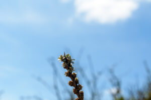 050-2023-04-30 Strand