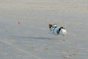 052-2023-01-21 Kijkduin