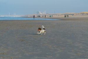 053-2023-01-21 Kijkduin