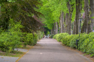 058-2023-05-23 Verkennen en shoppen