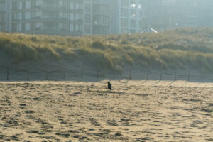 062-2023-01-21 Kijkduin