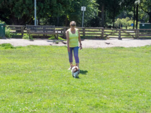 066-2023-06-30 Diverse juni