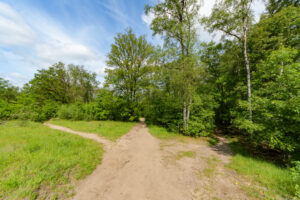 068-2023-05-23 Verkennen en shoppen