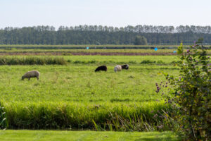 087-2023-09-24 Andijk en omgeving
