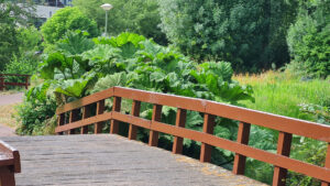 136-2023-06-30 Diverse juni