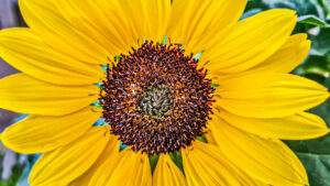 137-2023-06-30 Diverse juni