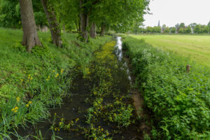 174-2023-05-25 Kasteel en Lunteren