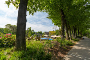 256-2023-05-28 Lekker wandelen en excusses