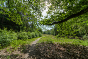 260-2023-05-28 Lekker wandelen en excusses