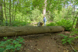 270-2023-05-28 Lekker wandelen en excusses