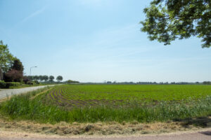 359-2023-06-01 Mooi rondje rijden