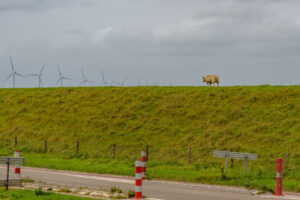 588-2023-09-28 Trammetje op stoom