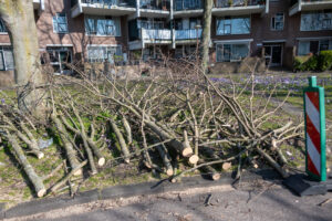 025-2022-03-06 Project Loosduinen dag 9