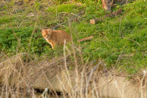 2022-03-13 Project Loosduinen 03 maart - 20220313-3160-215556