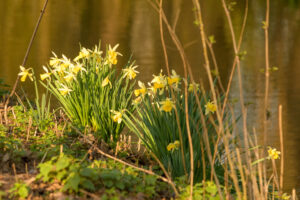2022-03-13 Project Loosduinen 03 maart - 20220313-3160-215595