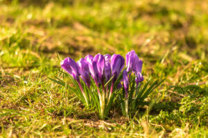 2022-03-13 Project Loosduinen 03 maart - 20220313-3160-215635