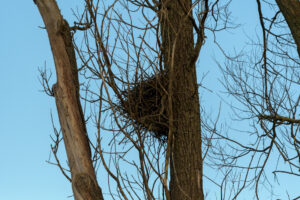 2022-03-13 Project Loosduinen 03 maart - 20220313-3160-215651